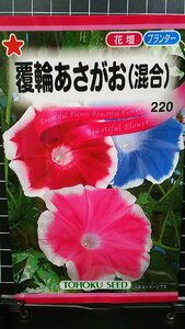 ３袋セット 覆輪 あさがお 混合 朝顔 種 郵便は送料無料