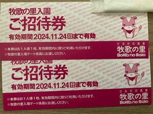 即決　牧歌の里　入園招待券　高鷲　岐阜　ひるがの高原　無料券　2枚セット