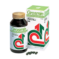 グロスミン２０００錠　x２箱