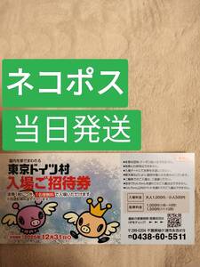 3枚【当日発送】東京ドイツ村　ドイツ村 招待券 12/31まで有効