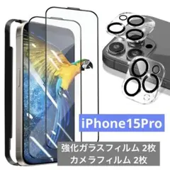 iPhone15Pro 強化ガラスフィルム 2枚 黒縁 カメラフィルム 2枚