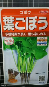 ３袋セット 葉 ごぼう 葉ごぼう 牛蒡 種 郵便は送料無料