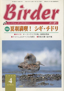 ■バーダー　Birder 1999.4月号〔特集：夏羽満喫！シギ・チドリ〕 