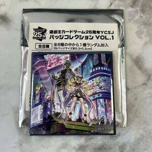 a2 MOVIC 遊☆戯☆王オフィシャルカードゲーム　遊戯王カードゲーム 25周年 YCSJ バッジコレクション VOL.1 EvilTwin