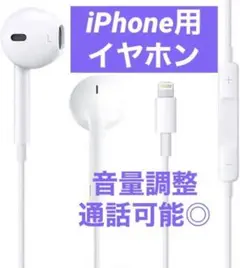 有線イヤホン Lightning iOS対応 マイク付き 音量調節/通話可能