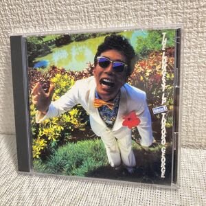 即決/CD/所ジョージ/史上最大全集しょのいち/盤面美品