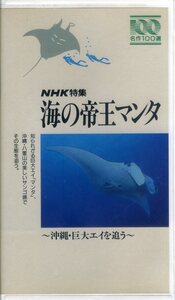 即決〈同梱歓迎〉VHS NHK特集 名作100選 海の帝王マンタ ～沖縄・巨大エイを追う～ ビデオ◎その他多数出品中∞ｍ901