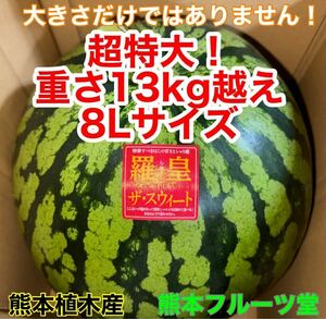 超特大！熊本産【羅皇】秀品8Lサイズ（1玉13〜14kg）熊本フルーツ堂90