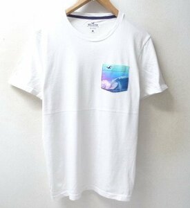 ◆HOLLISTER ホリスター タイダイ染め ビッグ ウェーブ 波 ポケット付き Tシャツ 白 サイズM　希少 サーファー　サーフィン SURF