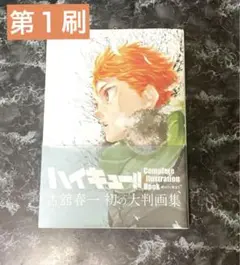 ハイキュー!! Complete Illustration book 終わりと…