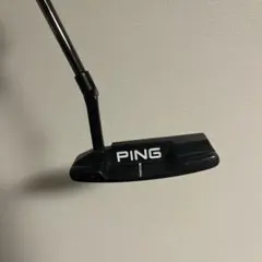 PING ANSER 2 パター