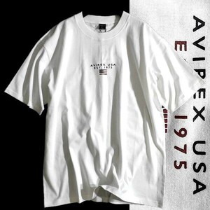 AVIREX アヴィレックス 新品 ブロックフラッグ×ミニロゴ レギュラーフィット 半袖 Tシャツ カットソー 6123294 01 2XL ▲015▼bus477us