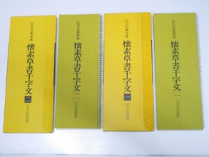 Glp_375297　拡大法書選集 16・17　懐素草書千字文1・2　渡辺隆男.発行