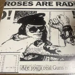 GUNS N ROSES レコード