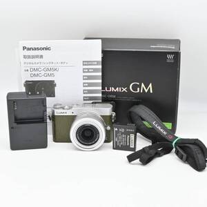 ★極美品★パナソニック Panasonic DMC-GM5 レンズキット グリーン