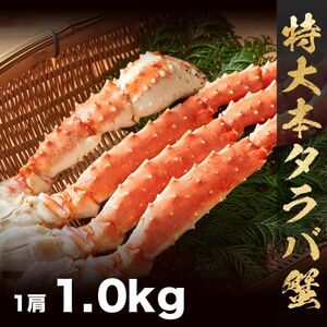 特大本タラバガニ脚1.0kg 身入りパンパン!! 大ボリューム!! パーティ お歳暮 ギフト ズワイガニ 毛蟹 たらば 蟹しゃぶ(0)