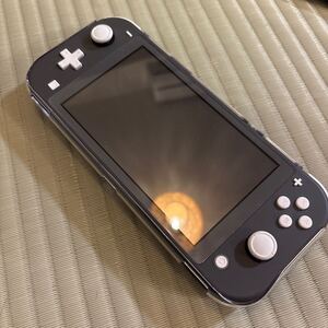 Nintendo Switch Lite 任天堂 ニンテンドー スイッチライト