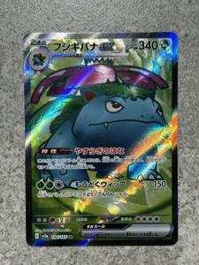 ポケモンカード151 フシギバナex 184/165 SR 　Pokemon Cards Master Ball Venusaur