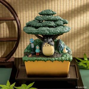 となりのトトロ ウォーターガーデン BONSAI 笠宿　盆栽　ジブリ　ボンサイ