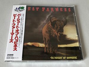 美品 見本 ビート・ファーマーズ BEAT FARMERS パシュート・オブ・ハッピネス THE PURSUIT OF HAPPINESS プロモ盤