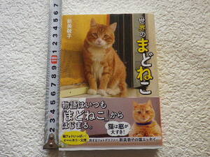 世界のまどねこ　新美敬子　文庫本●送料185円●