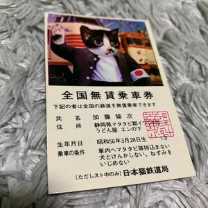 昭和レトロ 当時物 なめ猫 なめんなよ 暴走族 昭和 なめねこ ツッパリ ヤンキー なゃめるな にゃんだと 全日本暴猫連合 免許証 なめるなよ