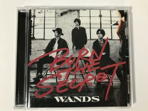 SL586 WANDS / BURN THE SECRET 通常盤 【CD】 0812