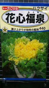 ３袋セット 花心 福泉 白菜 種 郵便は送料無料 ハクサイ