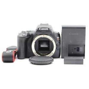 シャッター数10000枚以下 CANON EOS Kiss X10 ボディ ブラック デジタル一眼レフカメラ キヤノン