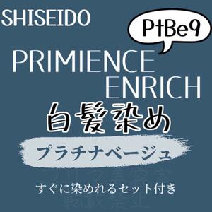 最安値　PtBe9 資生堂　白髪染め　ロング用　ヘアカラー剤　セット付　プラチナ　ベージュ　グレー　アッシュ　ヘアカラー