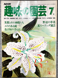 NHK 趣味の園芸 昭和54年 7月　芙蓉とその仲間たち ユリのある庭 ガーデニング 盆栽 花壇 菜園