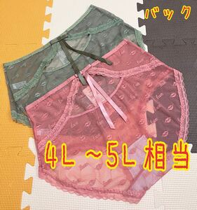 大きいサイズ4L〜5L相当　セクシー！バックリボンシースルーショーツ２枚セット