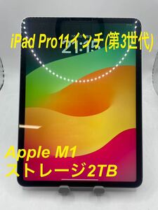 iPad Pro 11インチ 第3世代 2TB SIMフリー #mon072