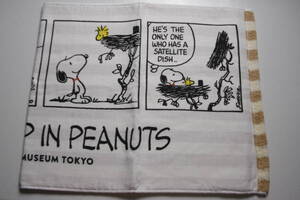 スヌーピーミュージアム SNOOPY MUSEUM TOKYO フェイスタオル R5 コミック　送料無料　PEANUTS スヌーピー ウッドストック タオル