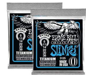 ERNIE BALL コーティング弦 COATED EXTRA SLINK 3125×2セット