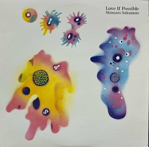 坂本慎太郎 Shintaro Sakamoto / できれば愛を Love If Possible LP Vinyl record (アナログ盤・レコード)