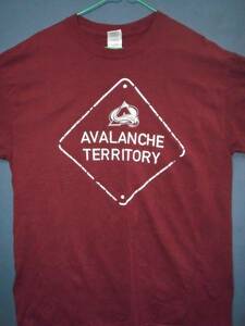 ④ USA古着 サイズL 前後AVALANCHE TERRITORY 赤茶色半袖Tシャツ