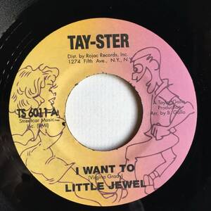 TAY-STER (USA) ● LITTLE JEWEL ● I WANT TO　キラーノーザン