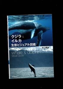 クジラ＆イルカ生態ビジュアル図鑑　水口博也　誠文堂新光社