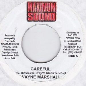 Epレコード　 WAYNE MARSHALL / CAREFUL (BLUE STEEL)