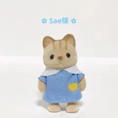 ✿ Sae様 ✿