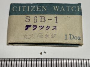 CITIZEN シチズン 丸穴座ネジ S6B-1 デラックス ハイライン エース 2個 新品6 未使用品 長期保管品 デッドストック 機械式時計