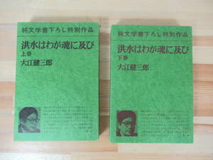 B48▽ 初版 洪水はわが魂に及び 上下巻セット 大江健三郎 純文学書下ろし特別作品 縮む男の審判 鯨の腹の中より 1973年発行 新潮社 230516