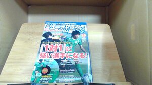 ジュニアサッカーを応援しよう！Vol.29夏号2013　DVD無し 2013年7月6日 発行