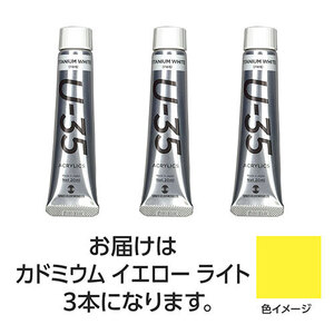 まとめ得 【3本×3セット】 ターナー色彩 U35 カドミウムイエローライト20ml TURNER108629X3 x [2個] /l