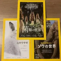 ナショナルジオグラフィック日本版 3冊セット　菌類　ユキウサギ　ゾウの世界