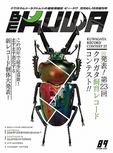 代引き不可！ビークワ89号　送料無料！