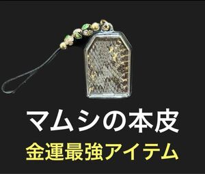 6 マムシの皮 金運 開運 一攫千金 魔除け 家内安全 守り神