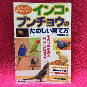 とってもかわいい！インコ・ブンチョウのたのしい育て方