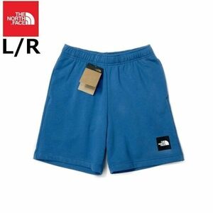 1円～!売切!【正規新品】THE NORTH FACE◆NEVER STOP SHORT ショートパンツ US限定 ボックスロゴ キャンプ アウトドア 登山(L)青 190110-5